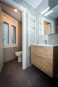 a bathroom with a sink and a toilet and a mirror at Apartments TELECABINE 365 in La Massana