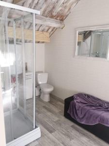 ein Bad mit einer Dusche und einem WC in einem Zimmer in der Unterkunft Polar Cottage House Bodø in Nygårdsjøen