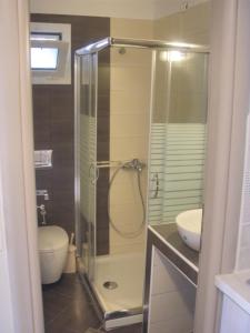a shower in a bathroom with a toilet and a sink at Katerina Lefkada in Vasiliki