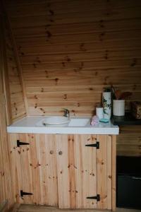 a bathroom with a sink in a wooden wall at River Side Cabin with Hot tub Snowdonia in Barmouth