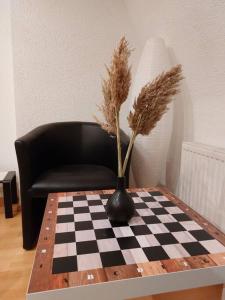 um vaso preto com uma planta num tabuleiro de xadrez em Rooftop Apartmens Ulm - komfortable neue Gemeinschaftsunterkunft im Herzen von Ulm - Raum 3 em Ulm