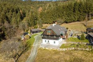 eine Luftansicht eines großen Hauses auf einem Hügel in der Unterkunft Urlaub auf der Alm "Deluxe" Matzlerberg in Lobming