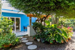 un jardín con plantas y una casa azul en Naïma Luxury Home, Cottage & Apartment Rentals, en Paradera