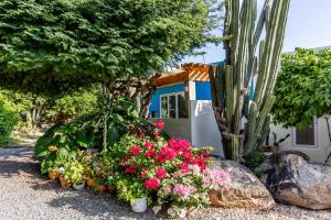 a garden with flowers and a cactus and a house at Naïma Luxury Home, Cottage & Apartment Rentals in Paradera