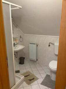 ein Bad mit einem WC und einem Waschbecken in der Unterkunft TURISTIČNA KMETIJA STREVC in Solčava