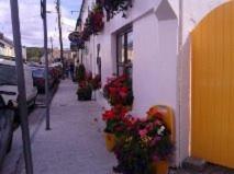Il quartiere o una zona nella vicinanze del bed & breakfast