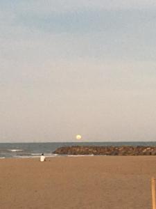 una persona sentada en la playa cerca del océano en Departamento Monoambiente a 2 cuadras del mar en Mar del Plata