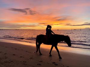 Una mujer montando un caballo en la playa al atardecer en Joe's Shack - A cosy oasis in Nadi close to the beach, supermarkets, restaurants, Denarau Island and the Marina., en Nadi