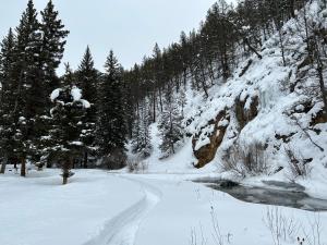 Newly Renovated Creekside Cabin! trong mùa đông