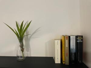 ein Regal mit einer Vase, Büchern und einer Pflanze in der Unterkunft Music Residence in Saarbrücken