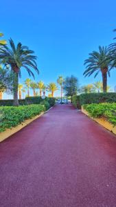 a walkway with palm trees in a park at CANNES Front de Mer - Appartement 3 STAR in Cannes