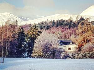 a house in the middle of a snow covered forest at The Byre - by Where Stags Roar in Newtonmore