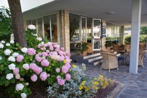Zahrada ubytování Hotel B&B Avana