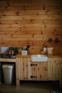 ein Badezimmer mit einem Waschbecken, einem WC und Holzwänden in der Unterkunft Oak SPECIAL WINTER OFFERS - Hot tub & Log burner in Barmouth
