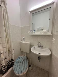 La salle de bains est pourvue de toilettes, d'un lavabo et d'un miroir. dans l'établissement Kleine Oase in Essen-Süd, à Essen
