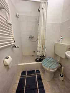 La salle de bains est pourvue d'une douche et de toilettes. dans l'établissement Kleine Oase in Essen-Süd, à Essen