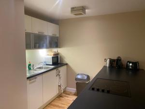una pequeña cocina con fregadero y encimera en City Centre 2 bedroom apartment, secure parking. en Glasgow
