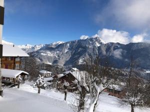 eine schneebedeckte Bergkette mit einem Haus und Bäumen in der Unterkunft Studio au calme, vue imprenable sur la vallée in Leysin
