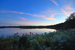 a view of a lake at sunset with flowers and trees at Scenic & Serene Lakefront Cottage With Wood Stove in Crivitz