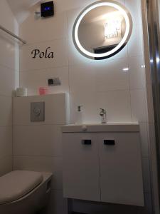 a bathroom with a toilet and a mirror on the wall at Słoneczne Apartamenty in Sokołowsko +52 photos