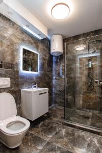 a bathroom with a toilet and a shower at Apartman Nina 2 in Kraljevo