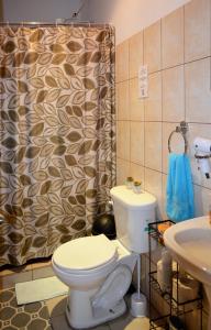 La salle de bains est pourvue de toilettes et d'un rideau de douche. dans l'établissement Guesthouse Casa Lapa2, à Alajuela
