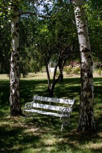 a park bench sitting between two trees in a park at Rupu Pehuen Resort in San Carlos de Bariloche