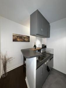 Kuchyňa alebo kuchynka v ubytovaní Superbe 2 Chambres Proche Montmartre