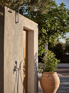 Fotografie z fotogalerie ubytování Villa Iama v destinaci Zakynthos Town