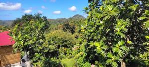 Φωτογραφία από το άλμπουμ του Noukatchimbe Bungalow avec piscine partagée pour 2 à 4 personnes σε Le Marin