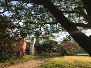 Galeriebild der Unterkunft Private Restored Hacienda With Its Own Cenote in Espita