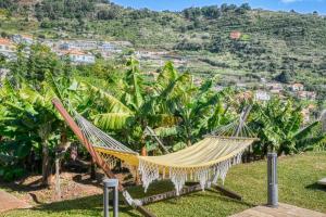 eine Hängematte mit Bergblick in der Unterkunft Villa Santa Madalena, a Home in Madeira in Arco da Calheta