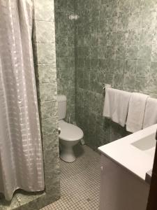 a bathroom with a toilet and a shower curtain at Downtown Motel in Wollongong