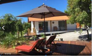 Zahrada ubytování Morere Jungle Lodge