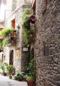 a stone building with potted plants on the side of it at Casa Rural Pueyo in El Pueyo de Araguás