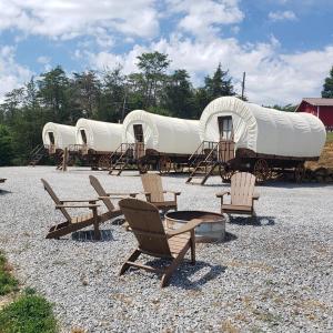 a group of white domes with chairs and a fire pit at Smoky Hollow Outdoor Resort Covered Wagon in Sevierville