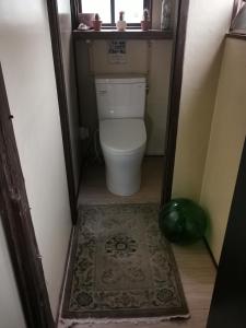 a small bathroom with a toilet and a rug at Umi no Mieru Ie Ocean View in Nishinoomote