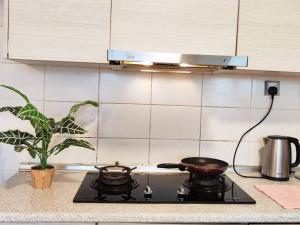 a stove top with two pots on top of it at Castle House Johor Bahru UTM in Johor Bahru