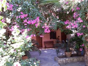 a garden with pink flowers in front of a building at Beautiful Cottage in S West Crete near the sea in Palaiochóra