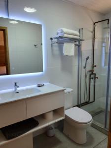 a bathroom with a toilet and a sink and a shower at Cabaña Martin Pescador, Lodge Nevados de Sollipulli in Melipeuco
