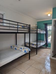 ポート・マッコリーにあるOzzie Pozzie Backpackers - Port Macquarie YHAの二段ベッド3組、窓が備わる客室です。