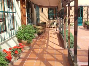 a balcony with potted plants and a dog walking down it at Casa Campestre del Mangrullo in Mexico City