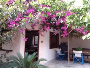 Exclusive Cottage in S West Crete in a quiet olive grove near the sea في باليوخورا: منزل به بوقية وردية