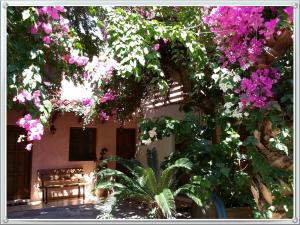 Exclusive Cottage in S West Crete in a quiet olive grove near the sea في باليوخورا: حفنة من الزهور معلقة من المبنى