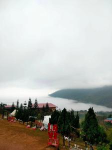 a view of a lake from a hill with red chairs at Khao Kho Tree Top in Khao Kho