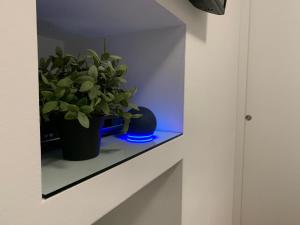 a potted plant sitting on a shelf in a room at The Royal House - un passo dalla reggia /en-es-it in Venaria Reale