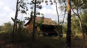 una casa en medio del bosque en Havana Horses Lodge en Tingkirtengah