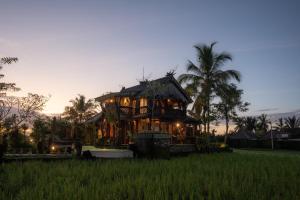 a house in the middle of a rice field at Villa Lignea in Tegalalang