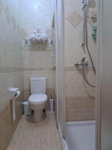 a small bathroom with a toilet and a shower at Seafront Apartment in St. Paul's Bay in St. Paul's Bay