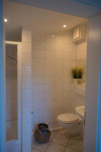 a bathroom with a toilet and a shower and a sink at Santa Ana in Westermarkelsdorf